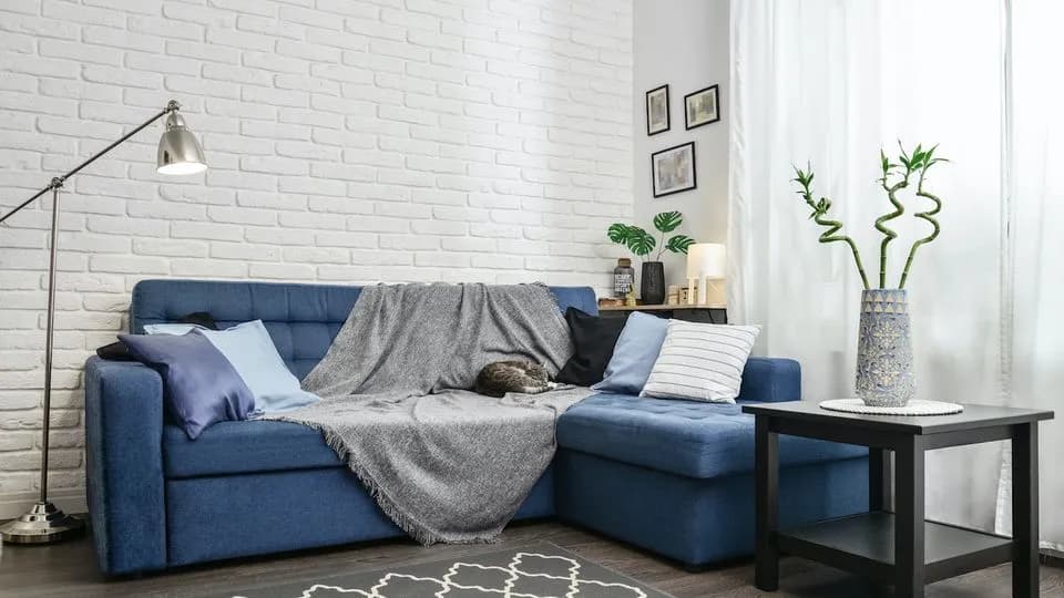 Czym przykryć kanapę w salonie, aby uniknąć zniszczeń i nadać styl?